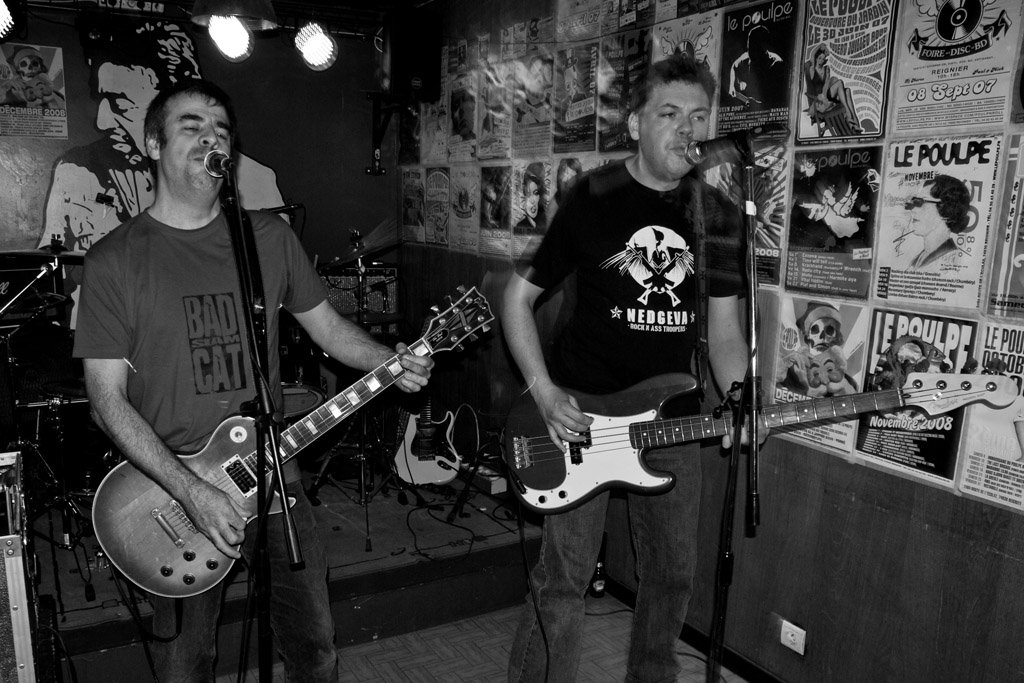2008-12-09_BadSiamCat-01