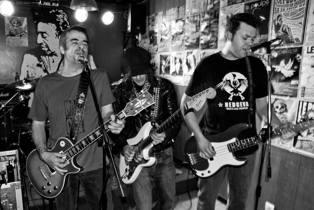 2008-12-09_BadSiamCat-14