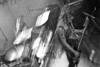 2011-01-08_DeathReign-04